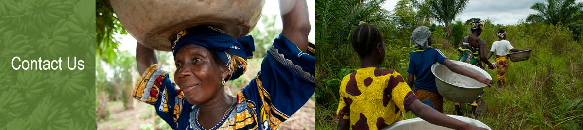 About FARMD, men water crops, farmers in rice paddy